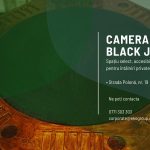 Camera de Black Jack: Salonul Diplomatic Exclusivist pentru Experiențe Private și Producții de Lux